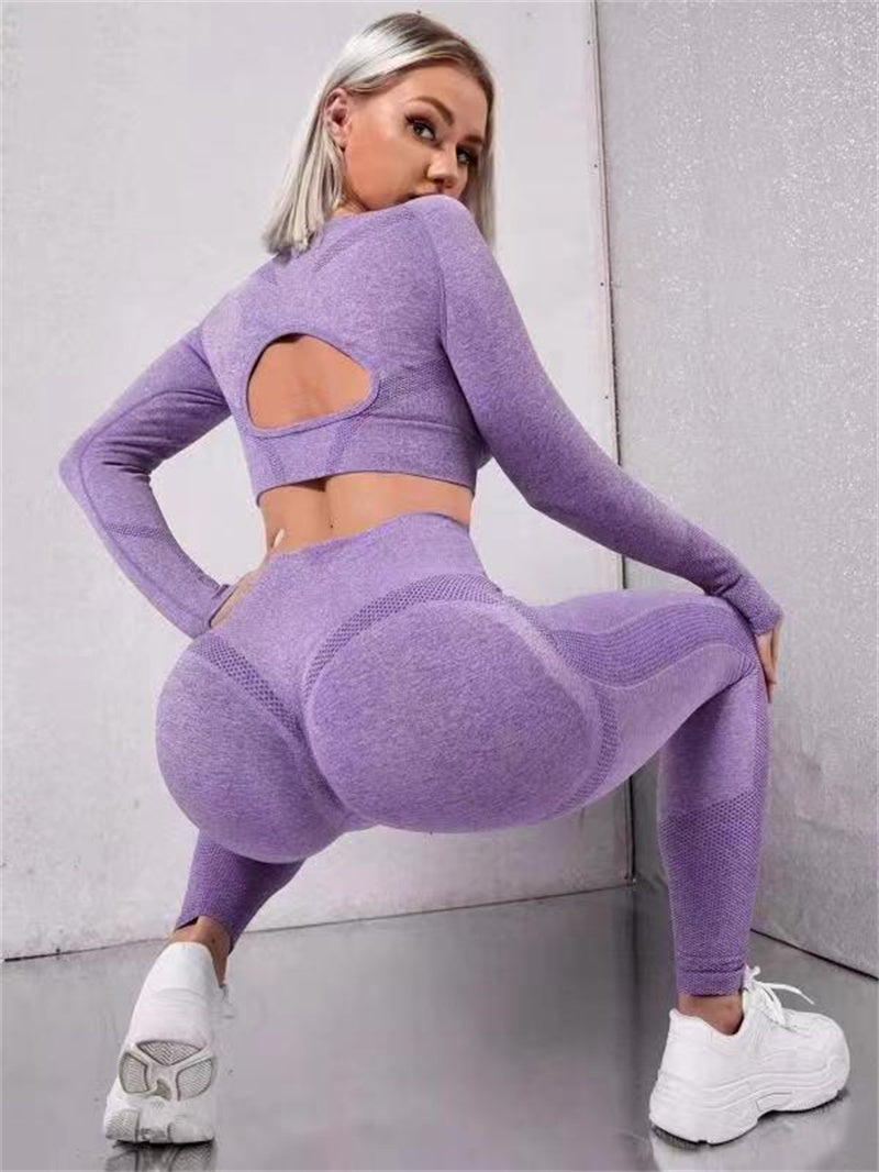 Women's seamless two piece gym set